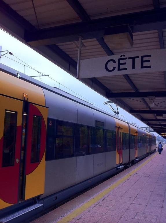 Eira Das Carvalhas Penafiel Værelse billede